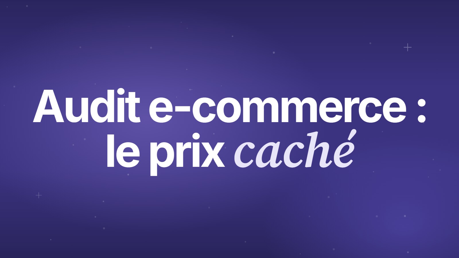 Audit e-commerce : le prix caché